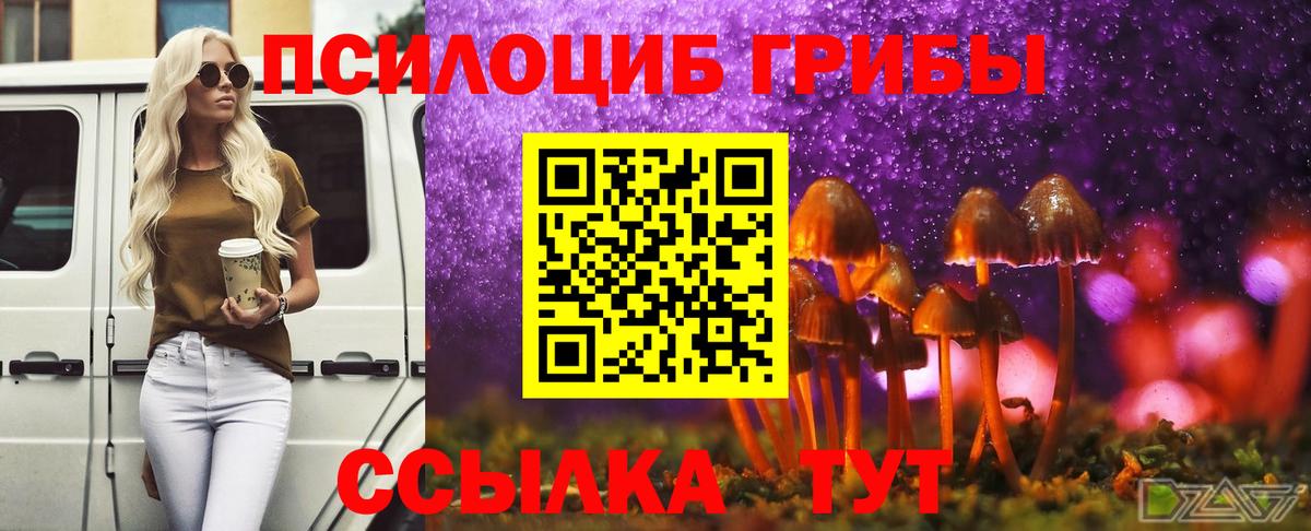 Галлюциногенные грибы GOLDEN TEACHER  наркотики  Галлюциногенные грибы прущие грибы  Заводоуковск  Вход с VPN 